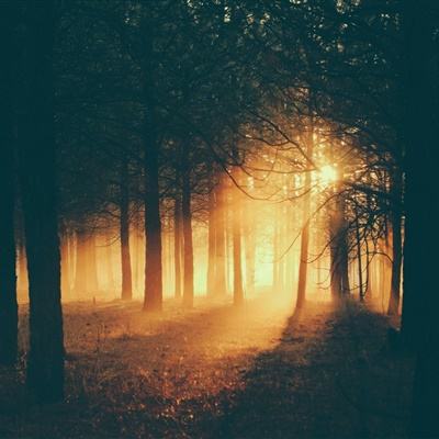 打扑克下载软件