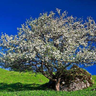 亚博网APP最新版本手机版