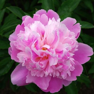 ag亚游APP登陆下载手机版