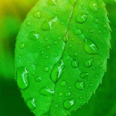 狗万manbetapp下载